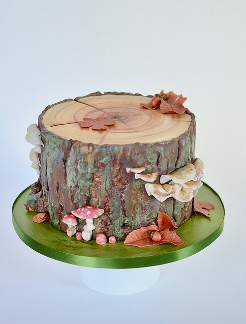 cake stump with fungus.jpg
