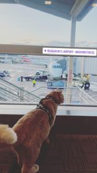 Popi at Airport.jpg