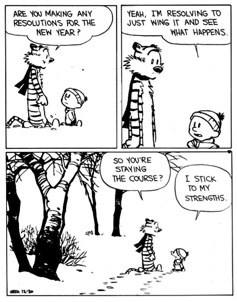 Calvin and Hobbes NY resolutions .jpg