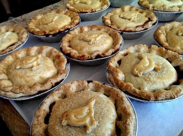 Chicks on little pies_0.jpg