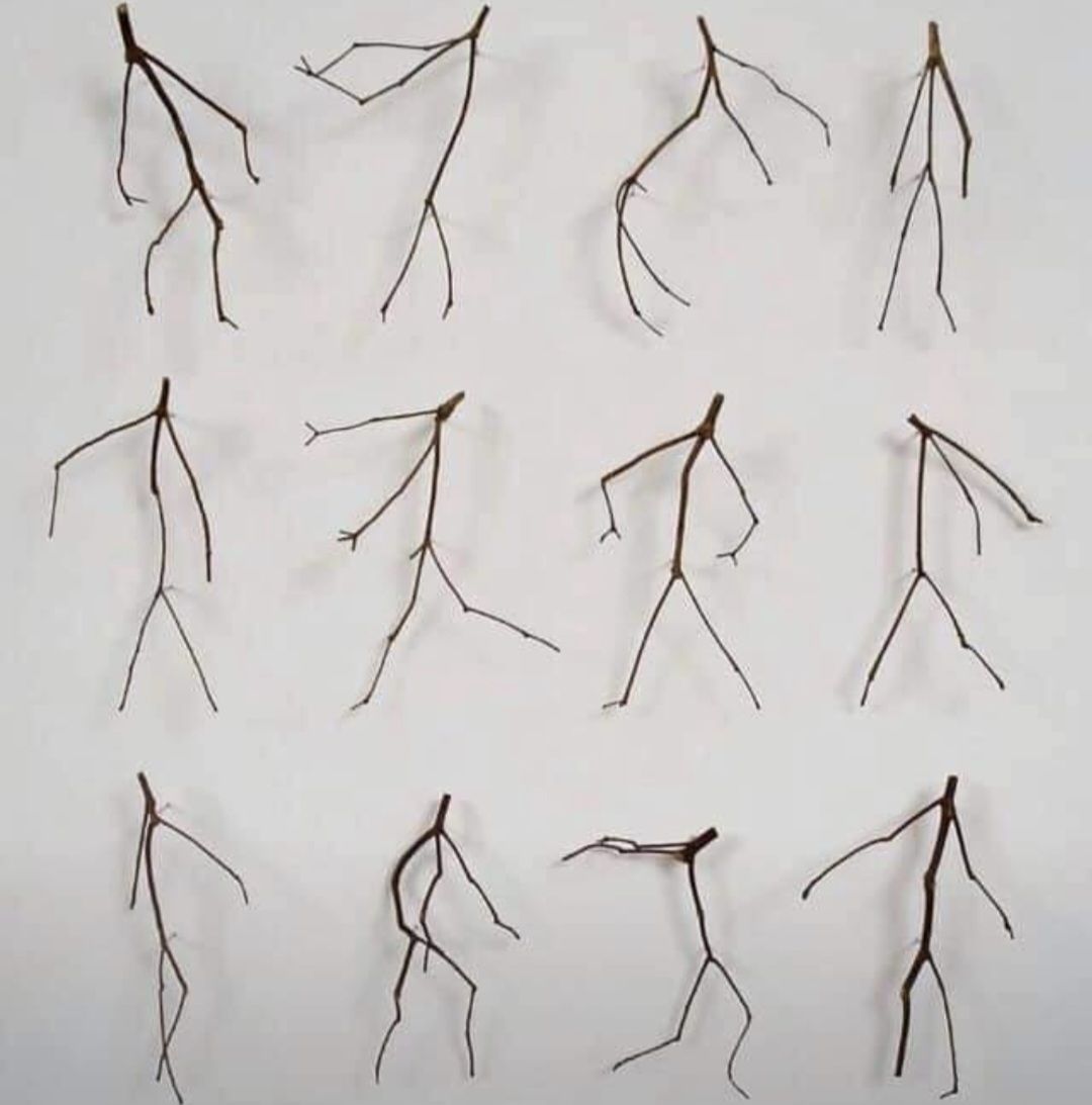 Dancing twigs_1.jpg