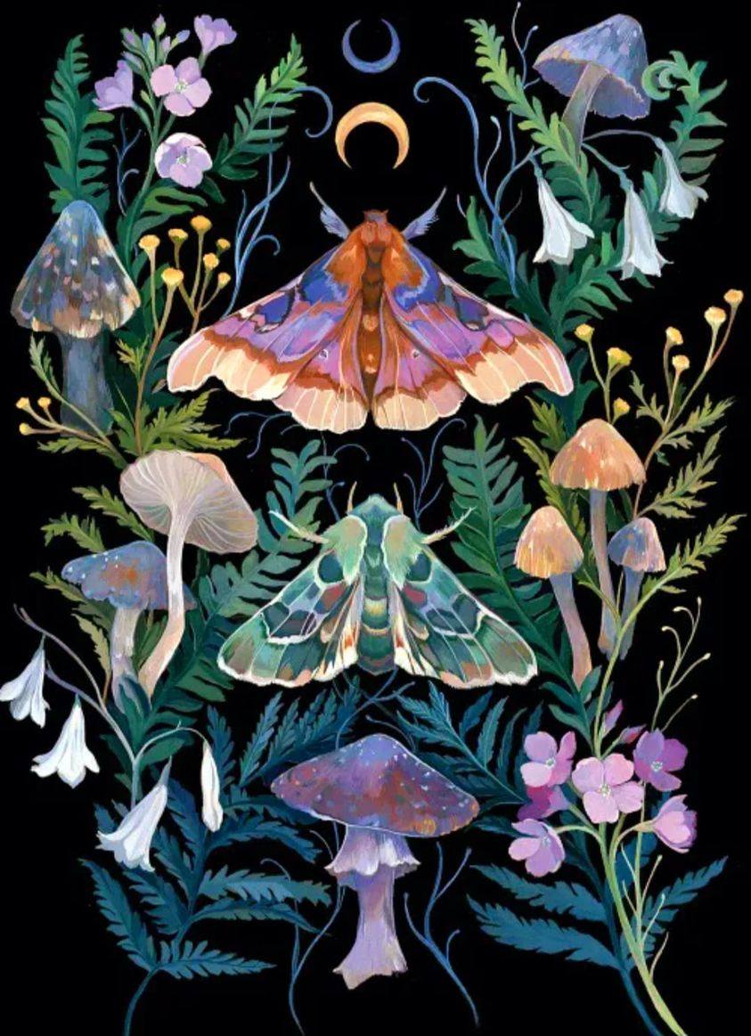 Moths and mushrooms (Clara McAllister).jpg
