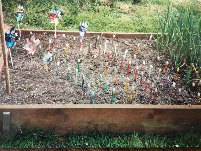 Toothbrush garden rainbow.jpg