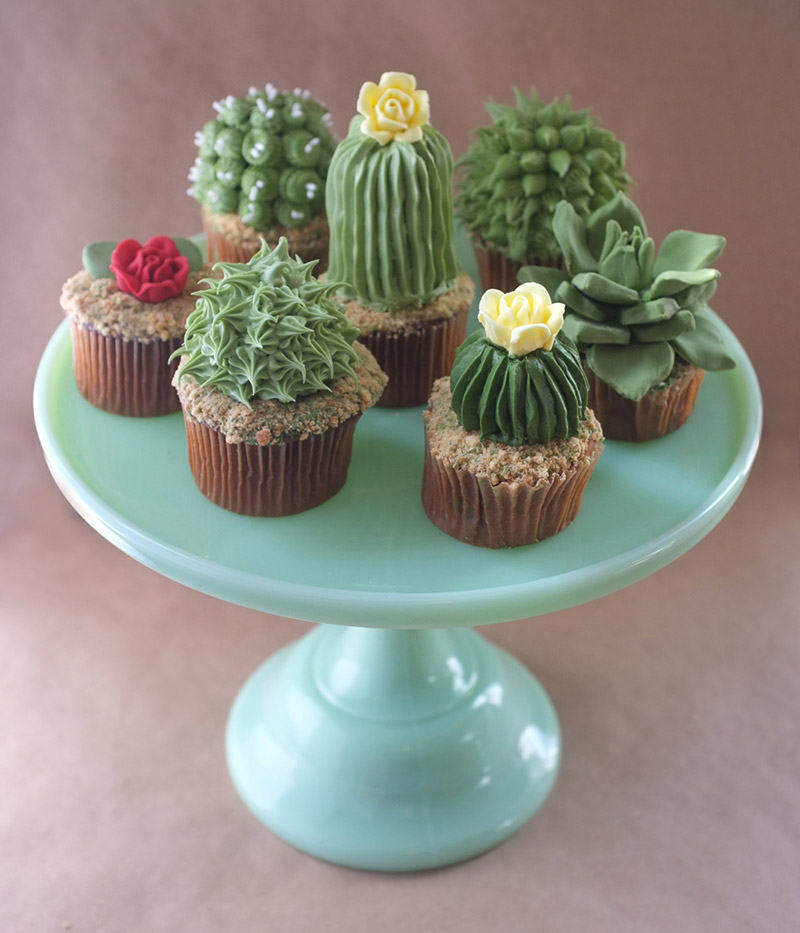 cupcakes cactus 3.jpg