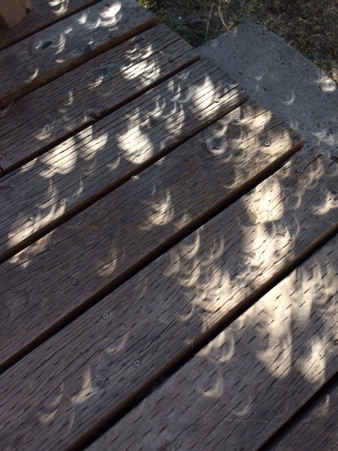 eclipse shadows_1.JPG