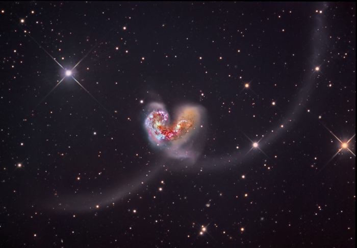 heart shaped beautiful_1_0.jpg