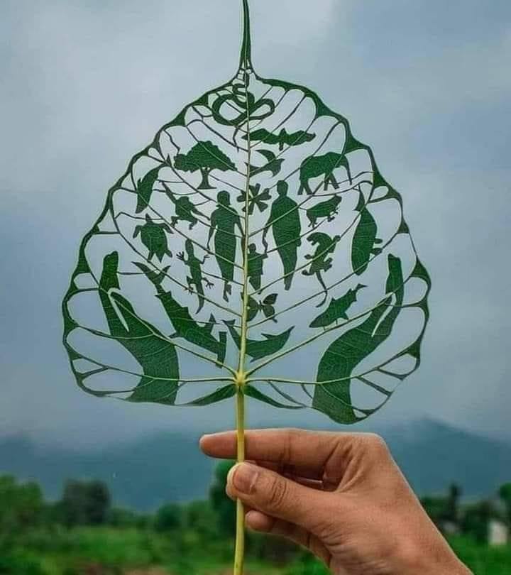 life cut from leaf.jpg
