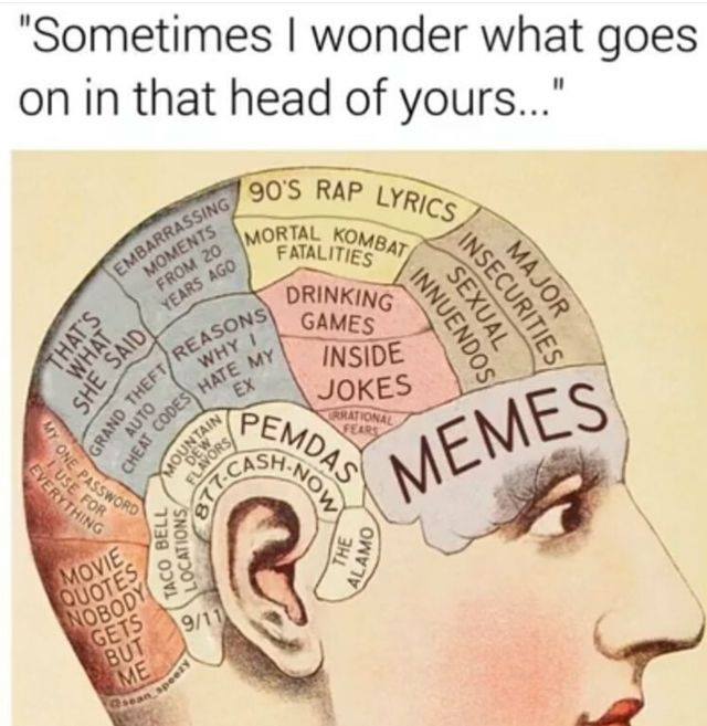 meme head.jpg