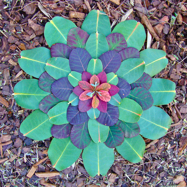 smoke and gum green and purple.jpg