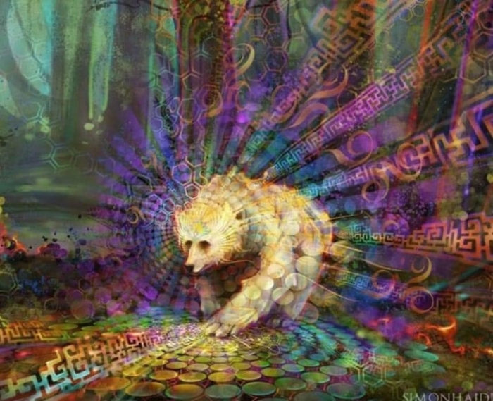 spirit bear psychedelic_0.jpg