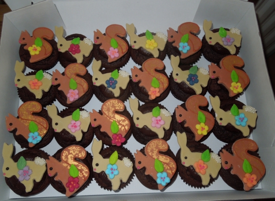 squirrel and bunny cupcakes_0_0.jpg