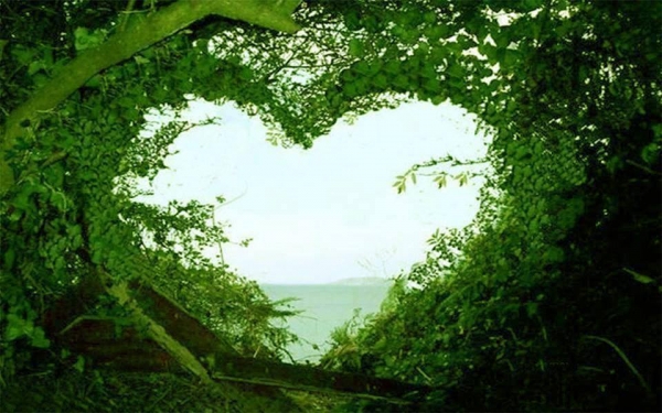 tunnel of green_0.jpg