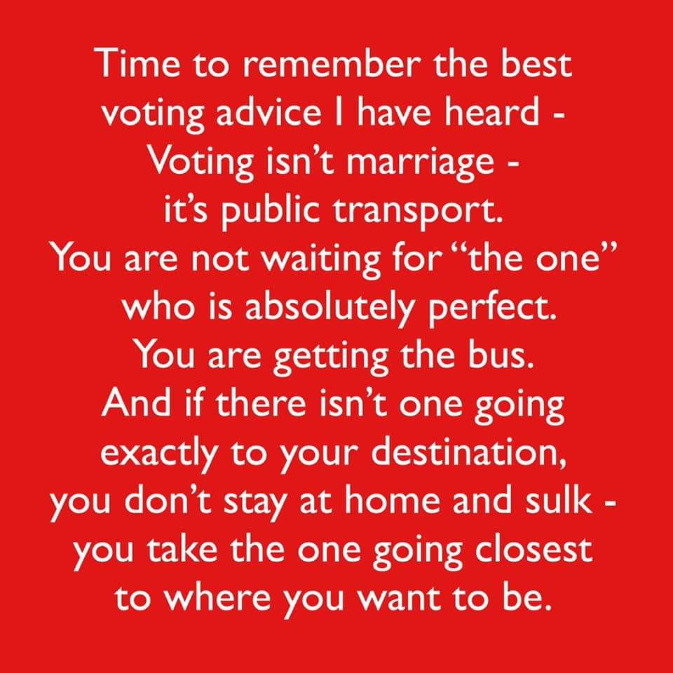 voting advice.jpg