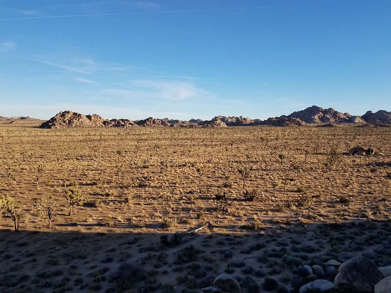 028 view.jpg