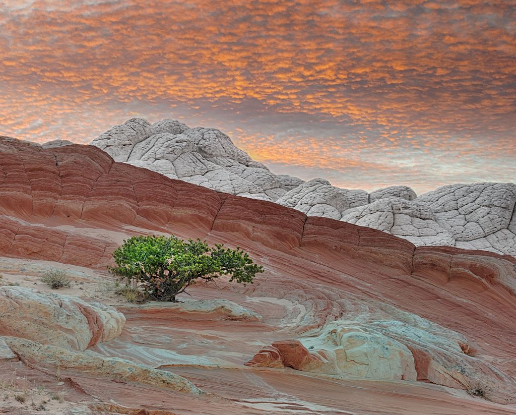 1024px-Another_White_Pocket_Sunset_0.jpg