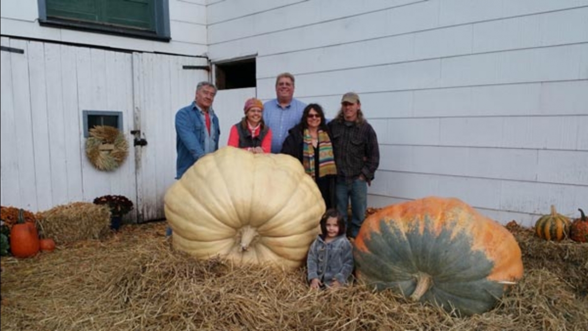 1046117_102215giantpumpkins_1.jpg