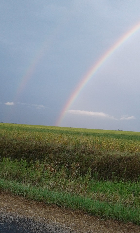 20170828_182439_0.jpg