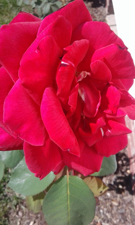 20170902_145030.jpg
