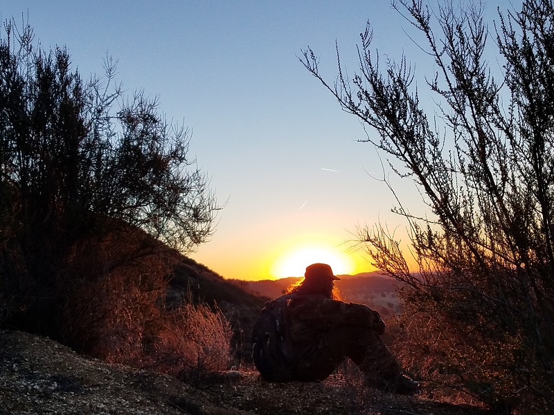 2019-01-01 Los Padres 3.jpg