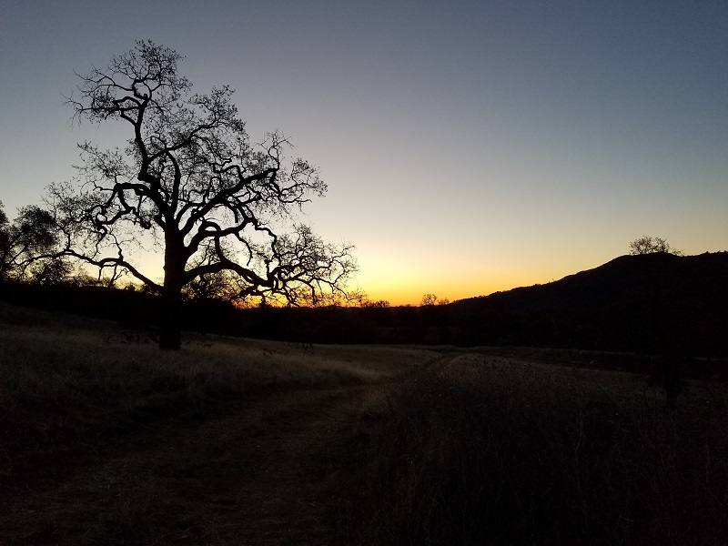 2019-01-01 Los Padres.jpg
