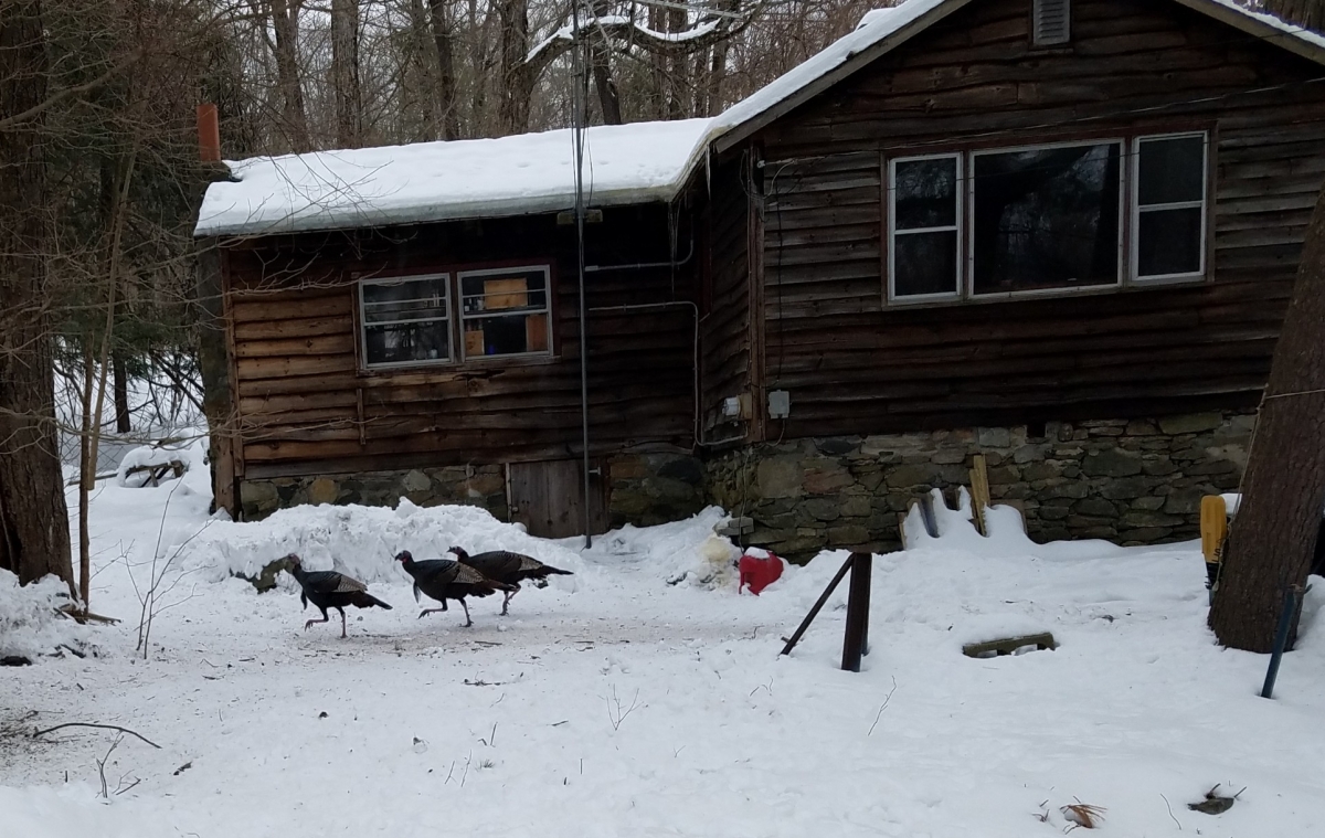 20210216_202343_copy_1928x1219.jpg