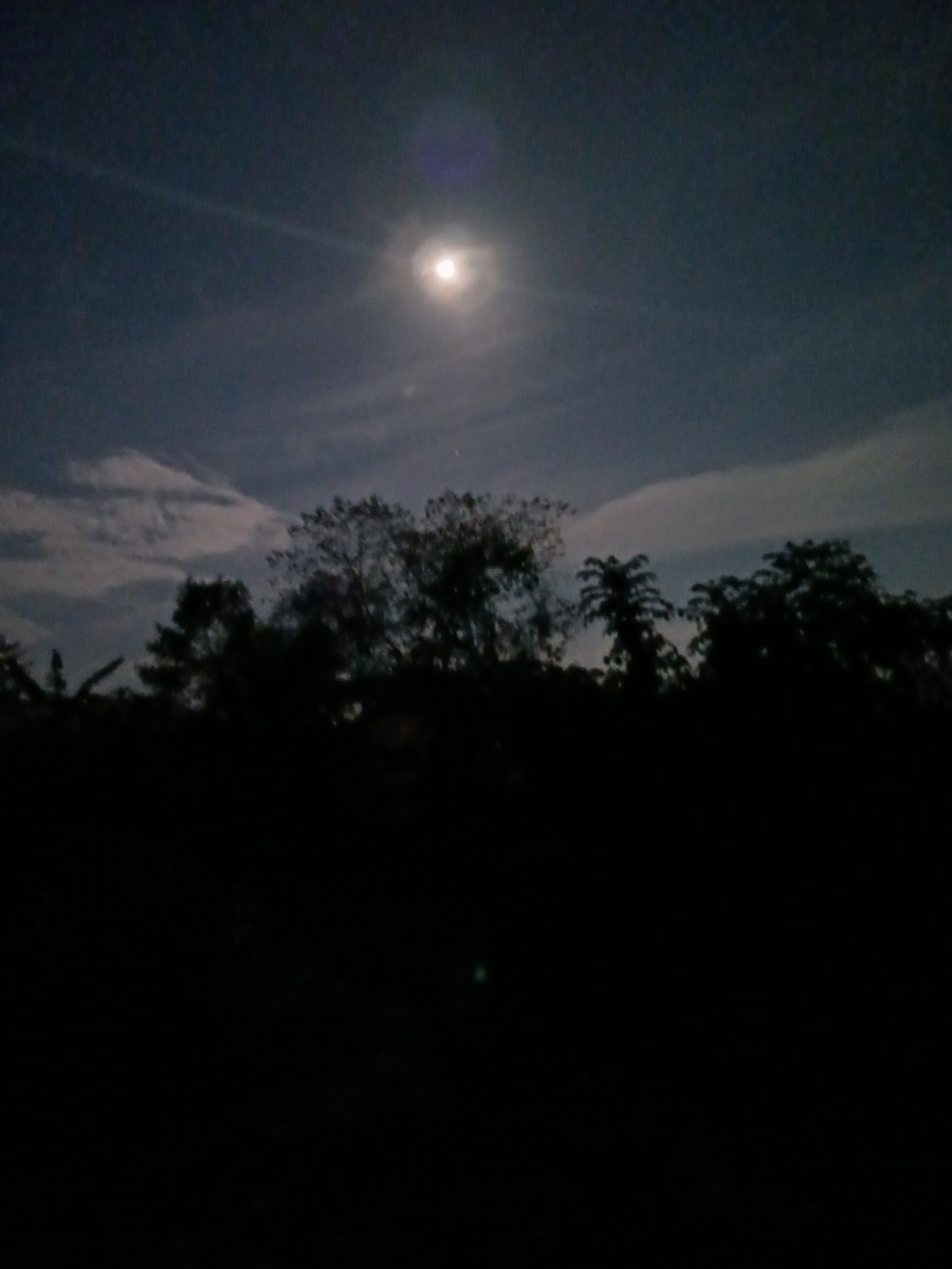 20250907_195926.jpg
