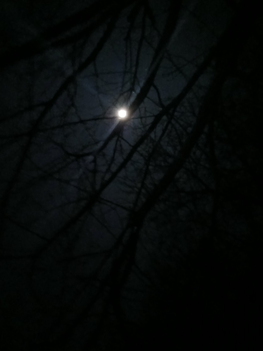 20260104_014121.jpg