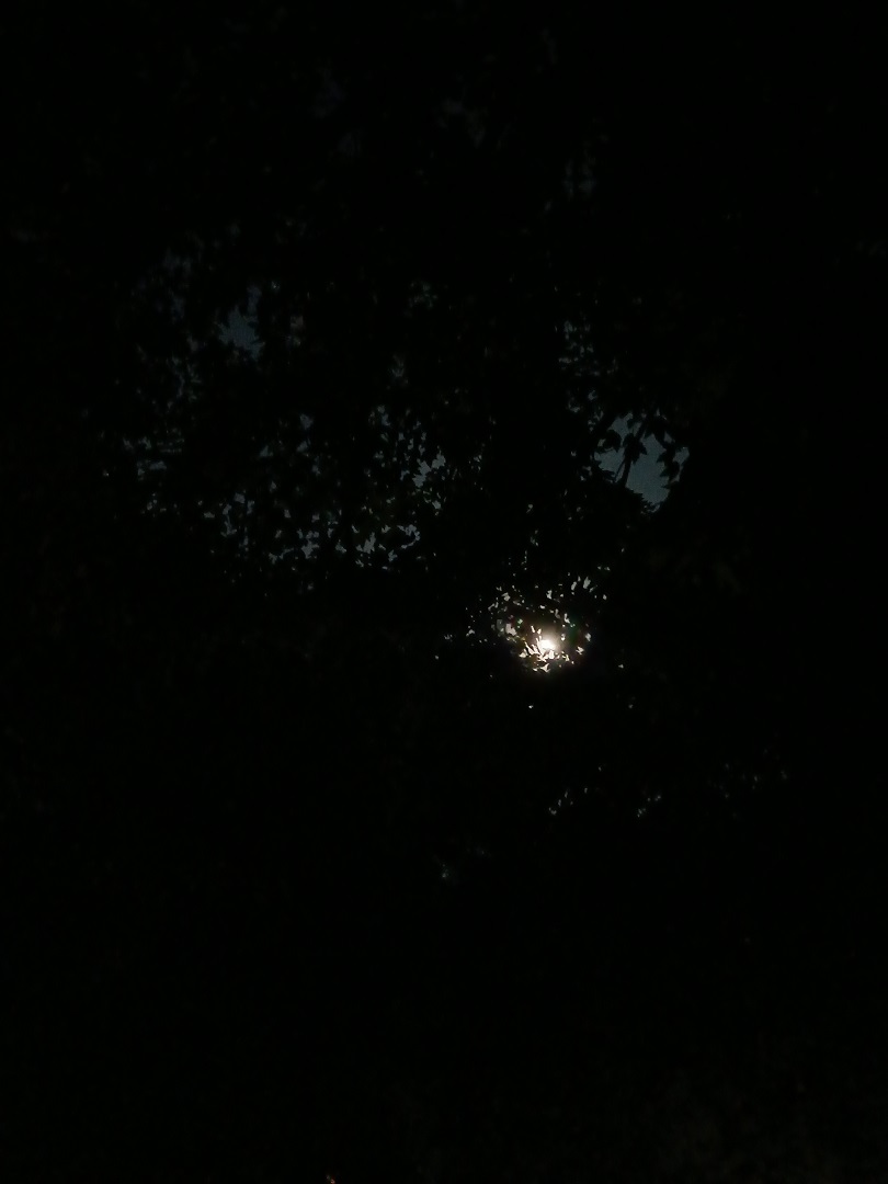 20260729_005528.jpg