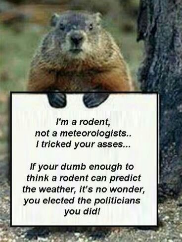 235799-I-Am-A-Rodent-Not-A-Meteorologist-Funny-Groundhog-Day-Quote.jpg