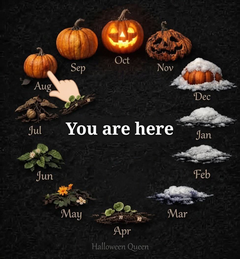 763847514_10164329043793830_1934846231750530169_n.jpg