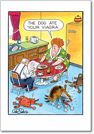 8447-dog-ate-viagra-funny-cartoons-happy-birthday-card.jpg