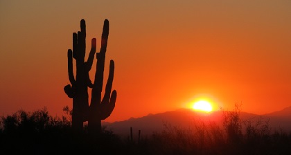 Arizona Sunset.jpg