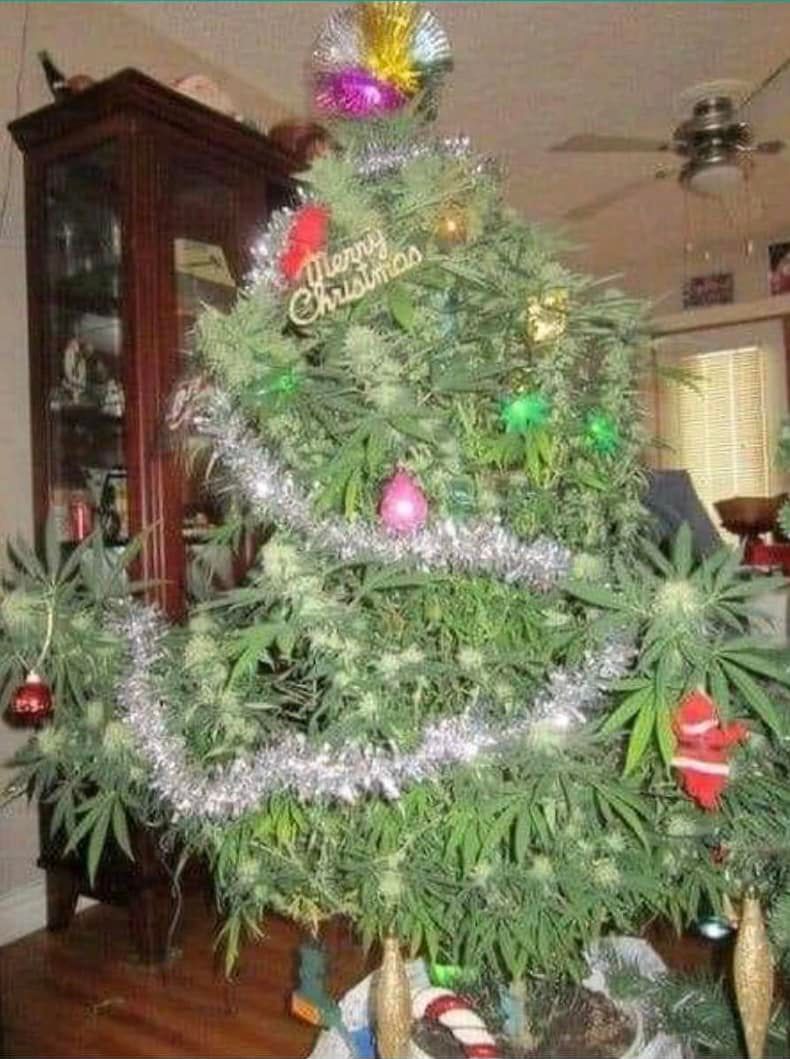 Christmas Herb Tree.jpg