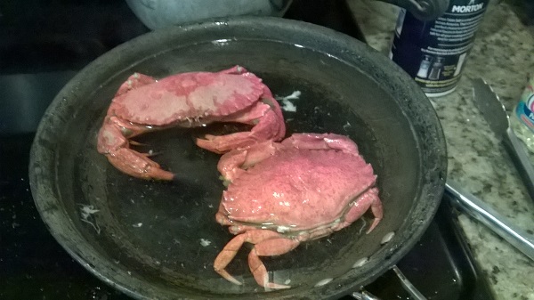 Crab 4_0.jpg