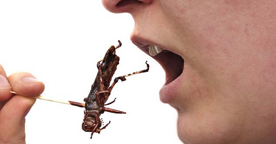 Crunchy.jpg