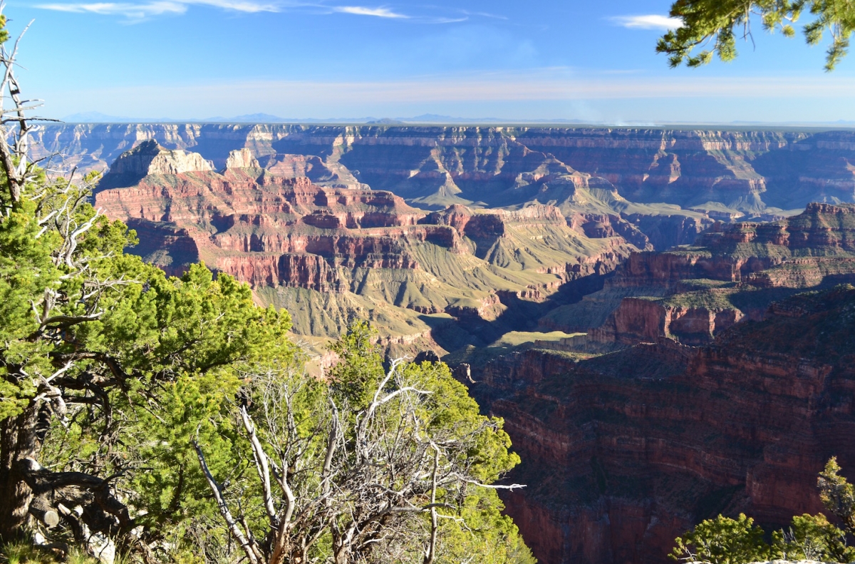 DSC_0492.jpg