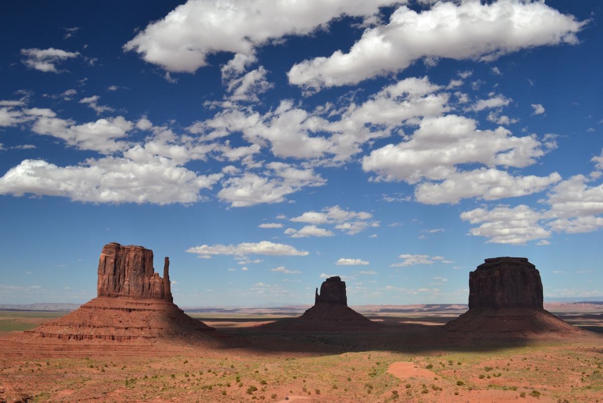 DSC_0578.jpg