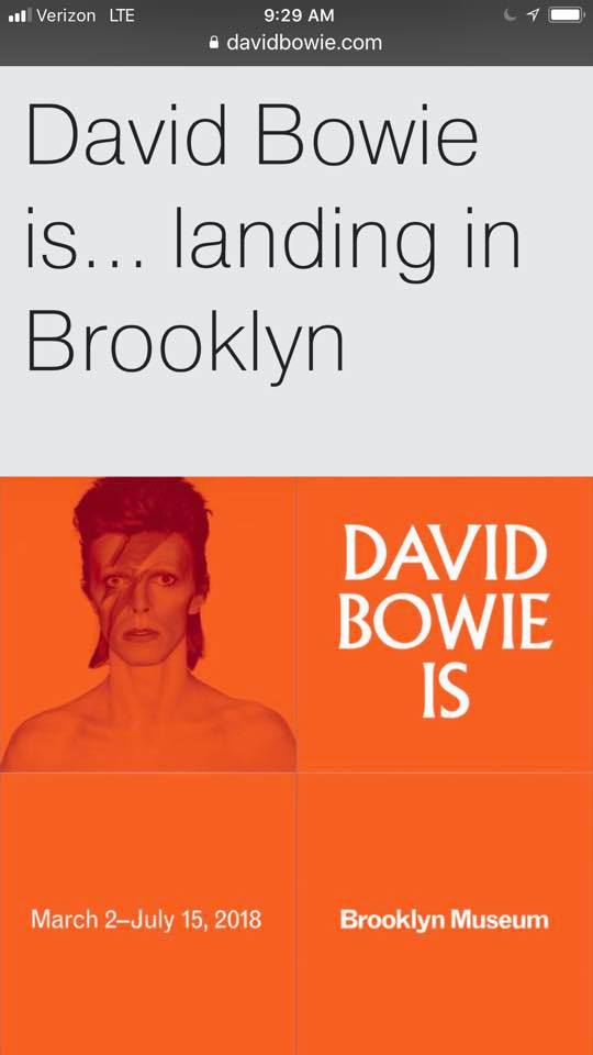 David Bowie IS_0.jpg