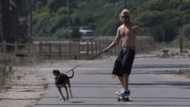 Dog Pulling Skateboard.jpg