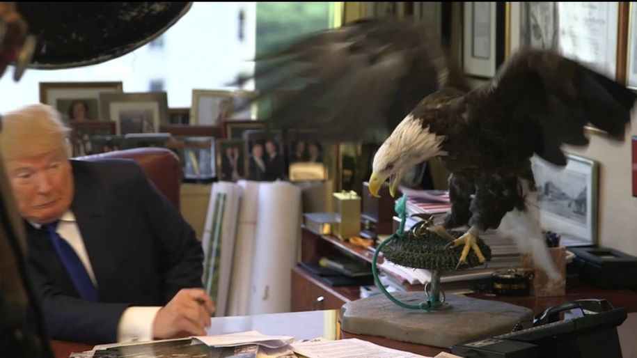 Eagle and Donald_1.jpg