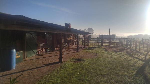 Enstancia 2.jpg