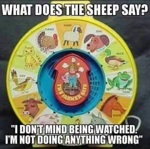 FB_IMG_1784817853691_0.jpg