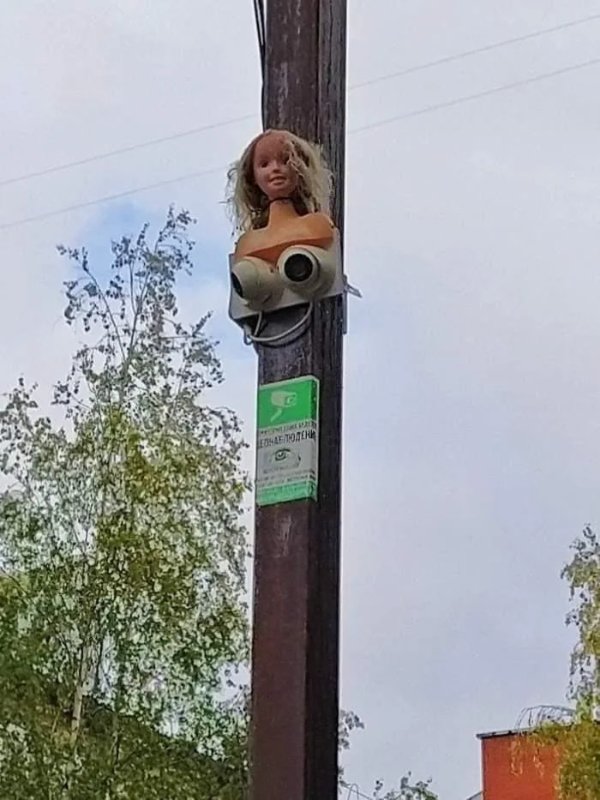 FlockCameras.jpg