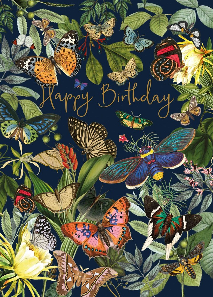 Happy Birthday Butterflies_0.jpg