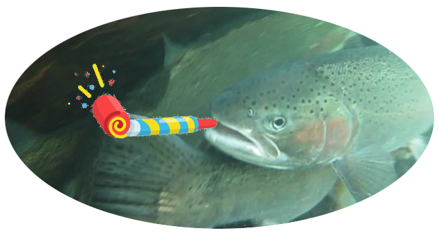 Happy New Year_fish_steelhead_noisemaker_from 12-31-24 email FOER.png