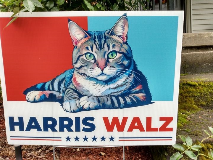 Harris Walz Cat.jpg