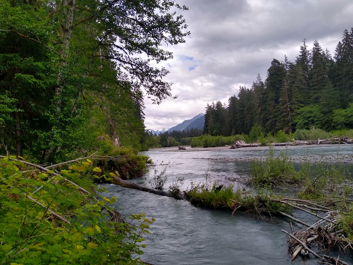 Hoh River.jpg