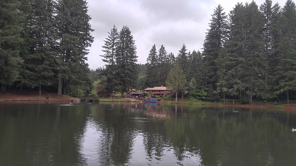 Hornings Pond.jpg