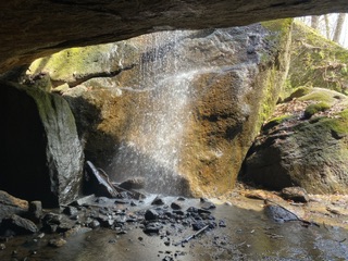 IMG_0239.jpeg