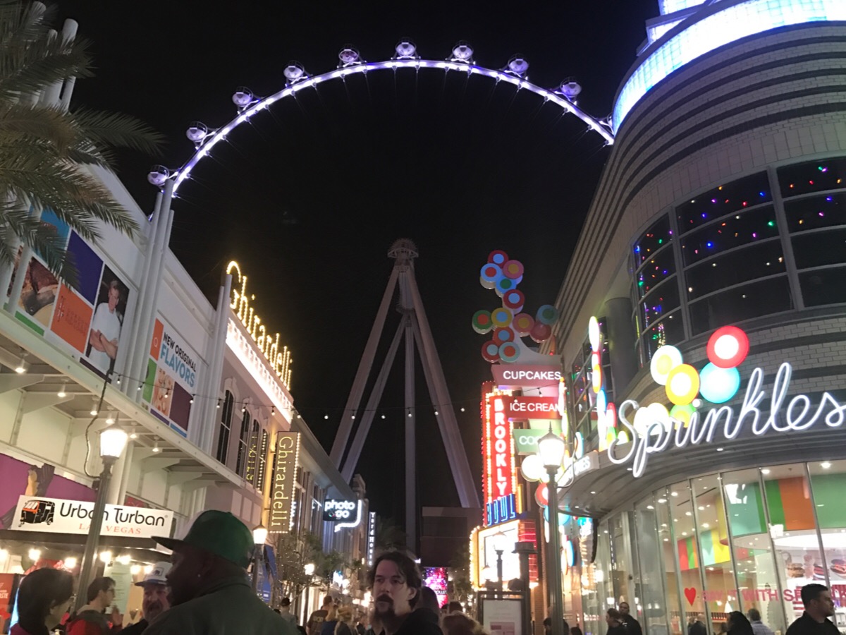 IMG_0743_0.JPG